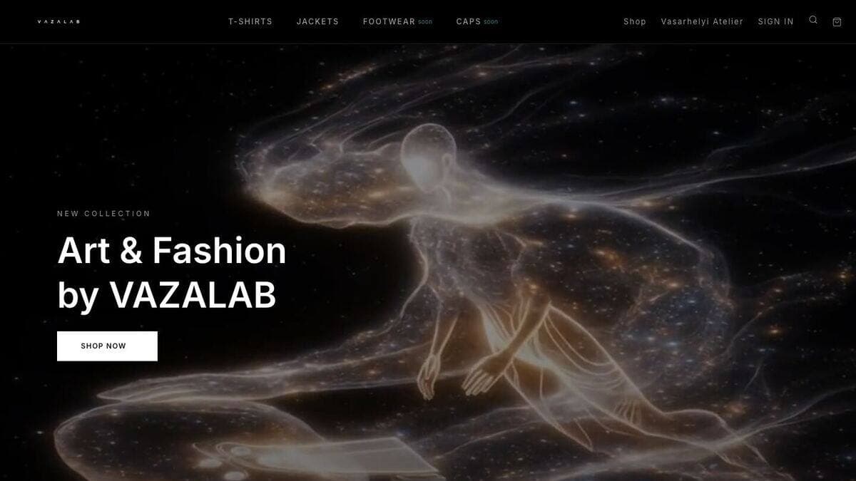 Aperçu du site VAZALAB